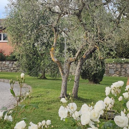 Willa La Casa Delle Rose Terranuova Bracciolini Zewnętrze zdjęcie